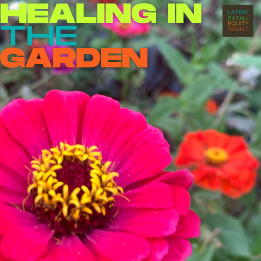 Bright blooming pink zinnia with text Healing in the Garden